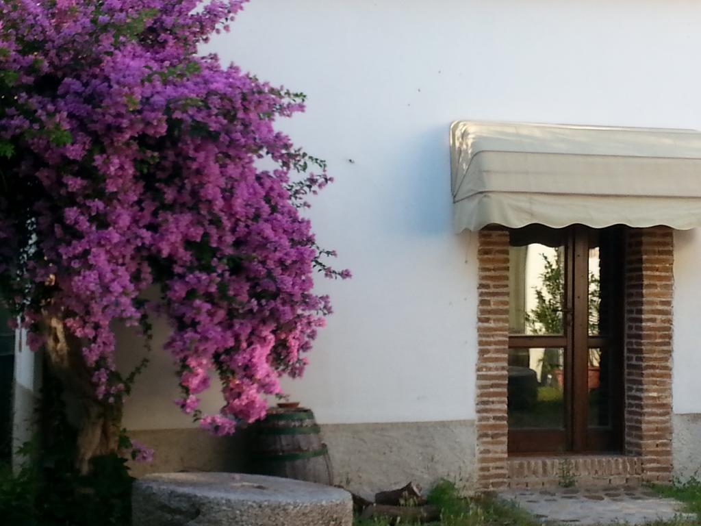 Agriturismo Malena Amica エクステリア 写真